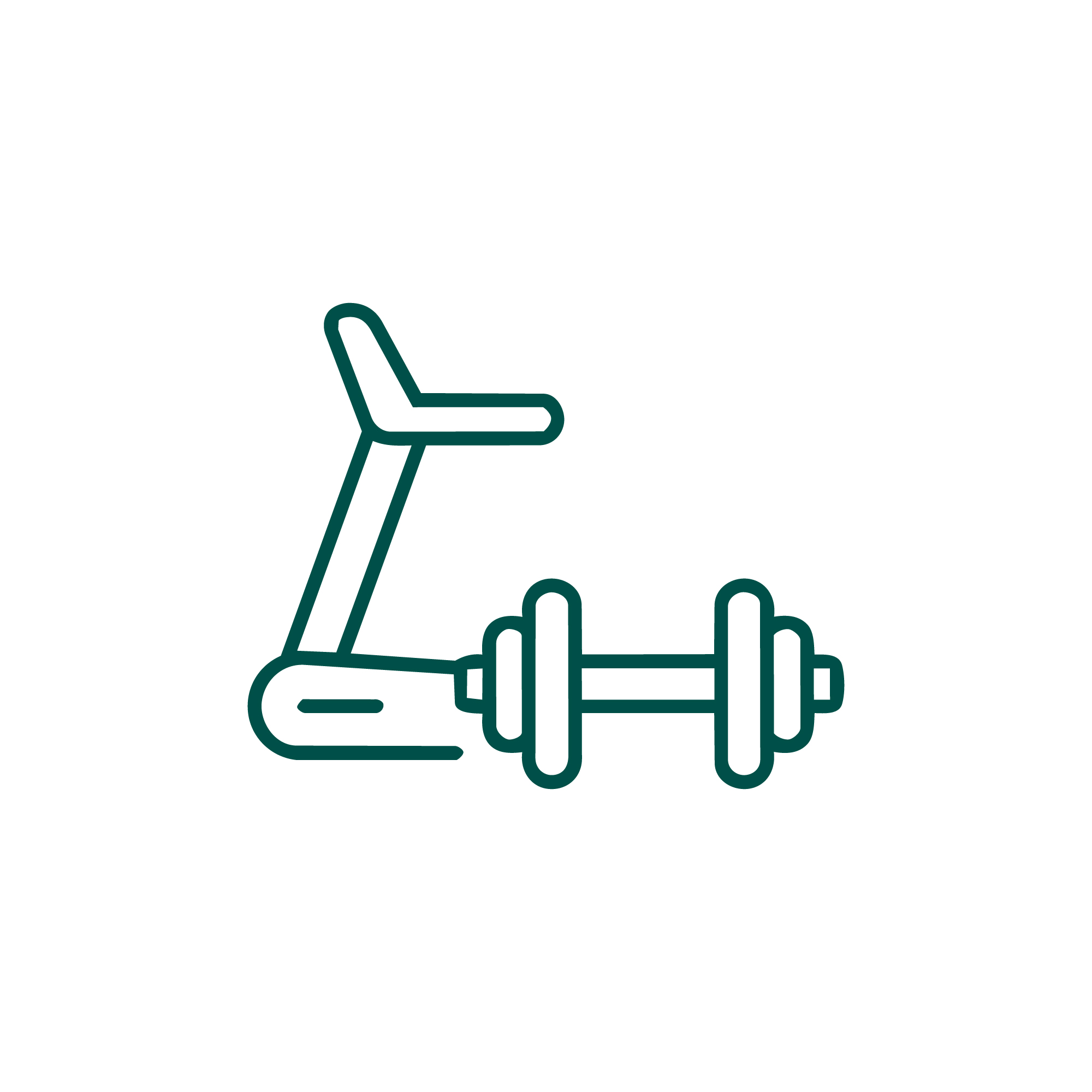 Fitness Salonu